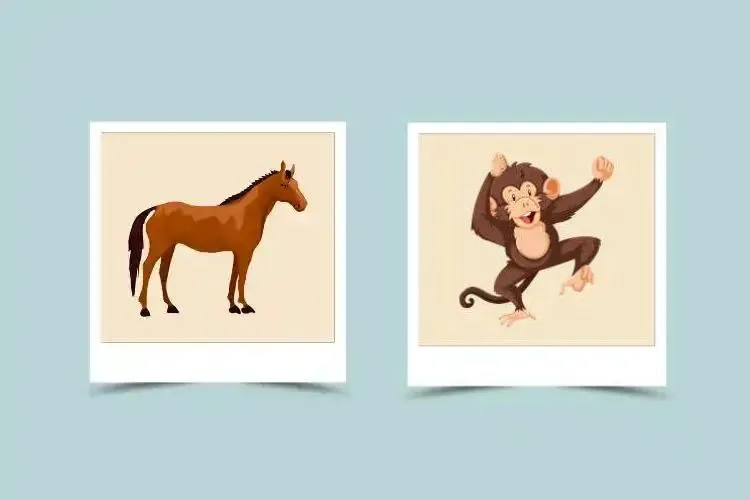 Horse and Monkey in Chinese Astrology: Love, Traits, and