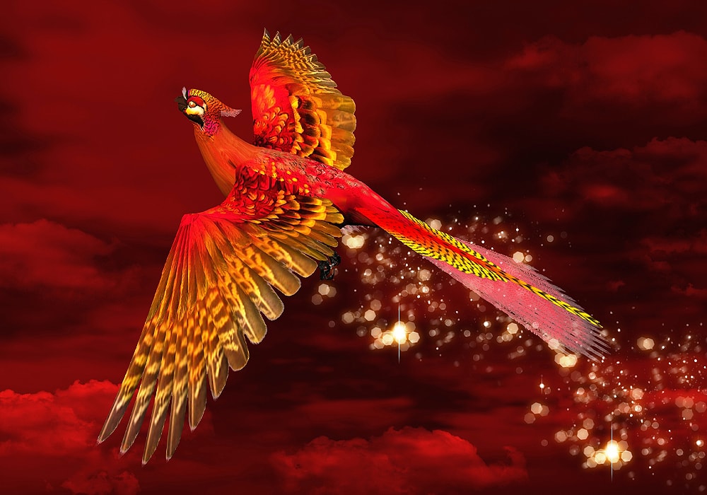 Chinese Zodiac Phoenix: Symbolism, Meaning, and Personality