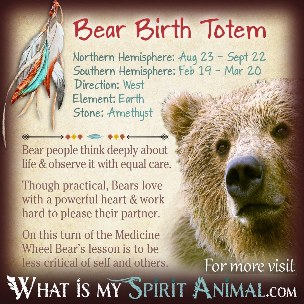 Native American Zodiac Signs: Unlock Your Spirit Animal and Birth Totem
