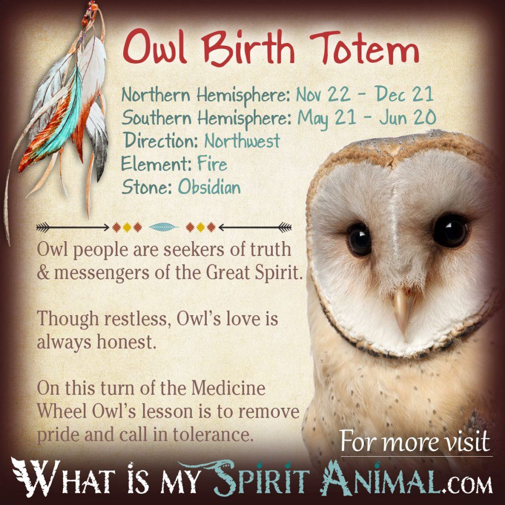 Native American Zodiac Signs: Unlock Your Spirit Animal and Birth Totem