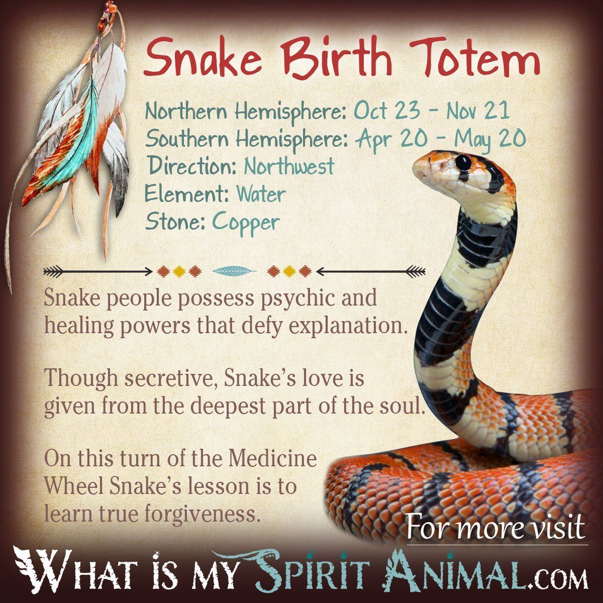 Native American Zodiac Signs: Unlock Your Spirit Animal and Birth Totem