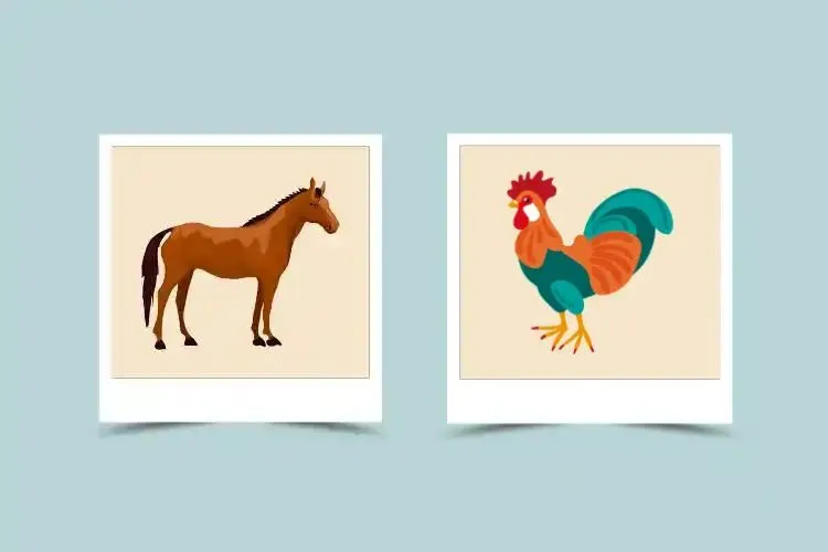 Horse and Rooster Compatibility: Love, Marriage, and Friendship