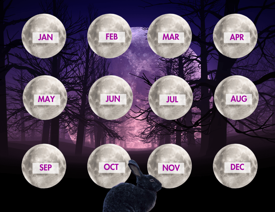 Complete Full Moon Zodiac Guide 2023: Key Dates & Lunar Insights