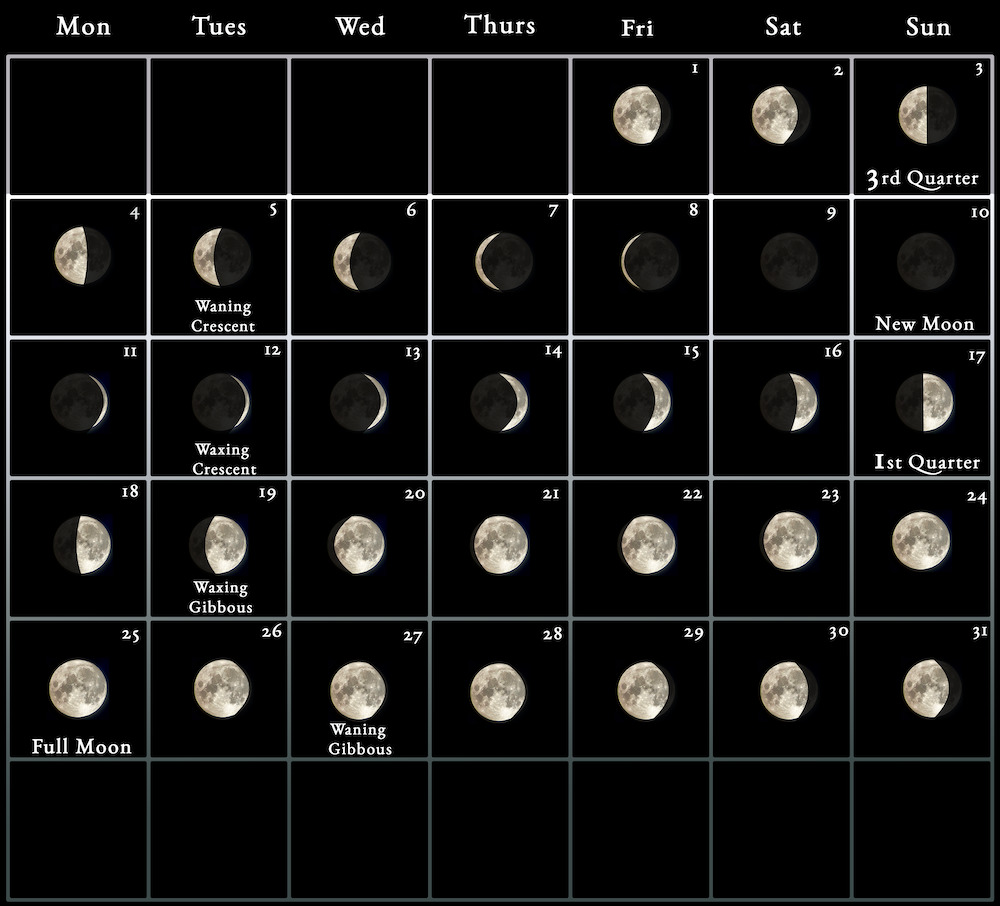 The Complete Zodiac Moon Calendar for 2024: Dates and Predictions