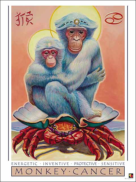 Discover the Cancer Monkey Zodiac: Key Traits, Compatibility & Love Insights