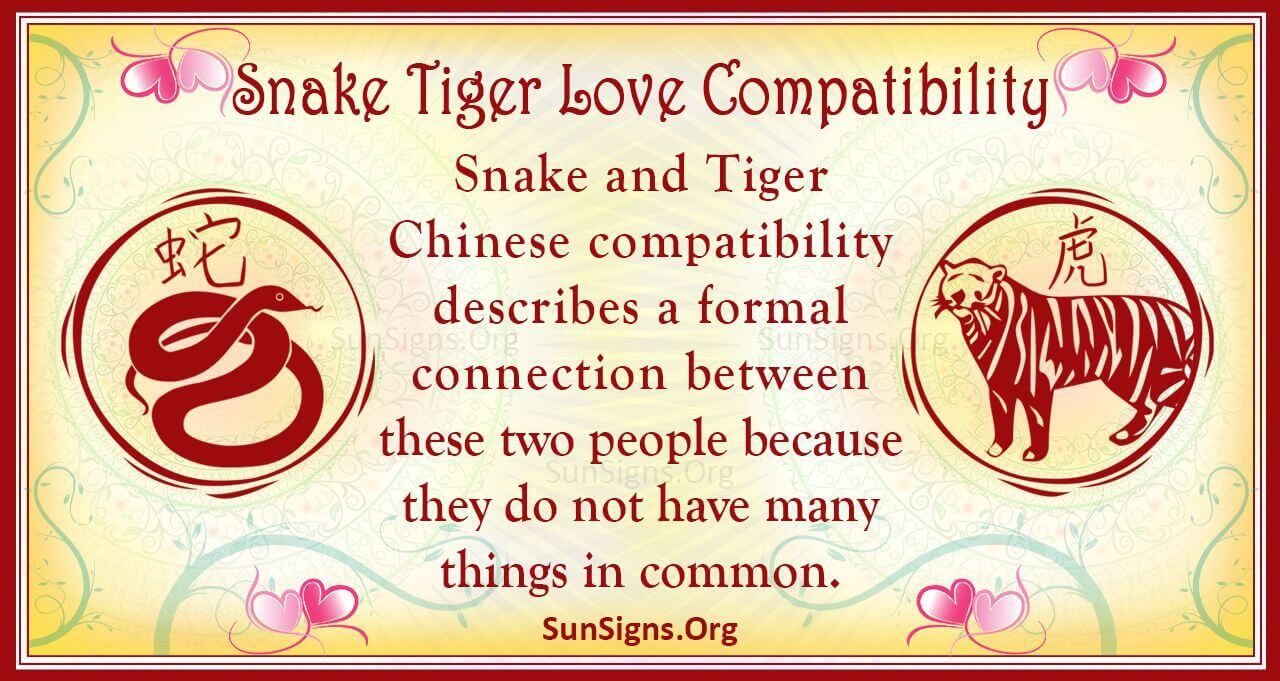 Tiger and Snake Compatibility in Chinese Astrology: What to Expect