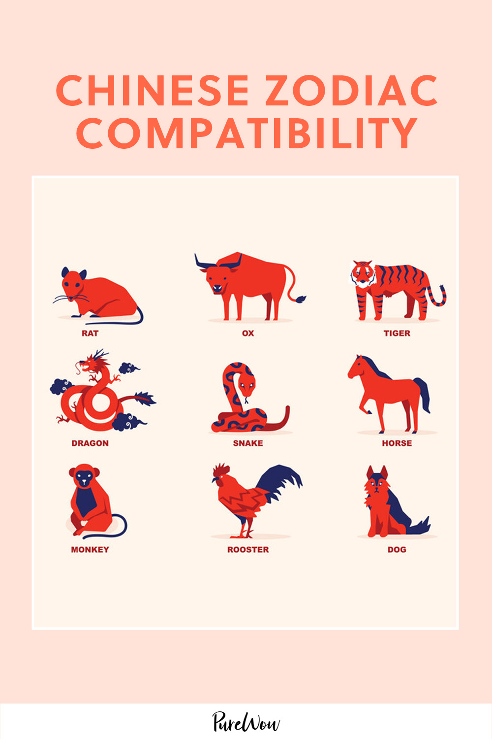 Tiger and Snake Compatibility in Chinese Astrology: What to Expect