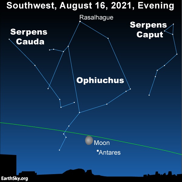 Ophiuchus and the 13-Month Zodiac: Is This the Missing Sign in Your Birth Chart?