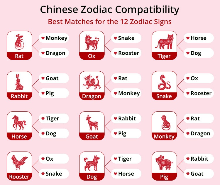 Monkey and Ox Chinese Zodiac Compatibility: Are They a Match?
