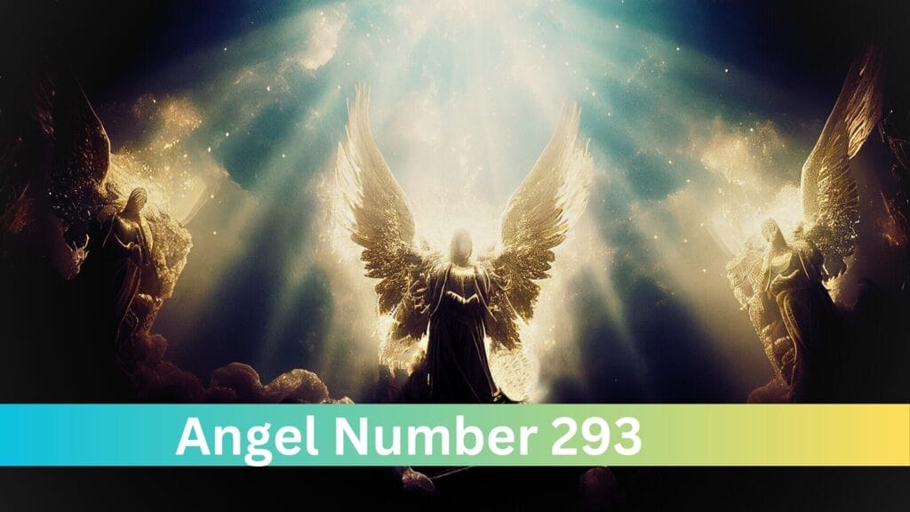 Twin Flame Journey: Discover the Meaning of 293 Angel Number