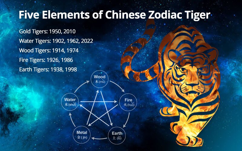 Gold Tiger Chinese Zodiac: What Does It Mean for You?