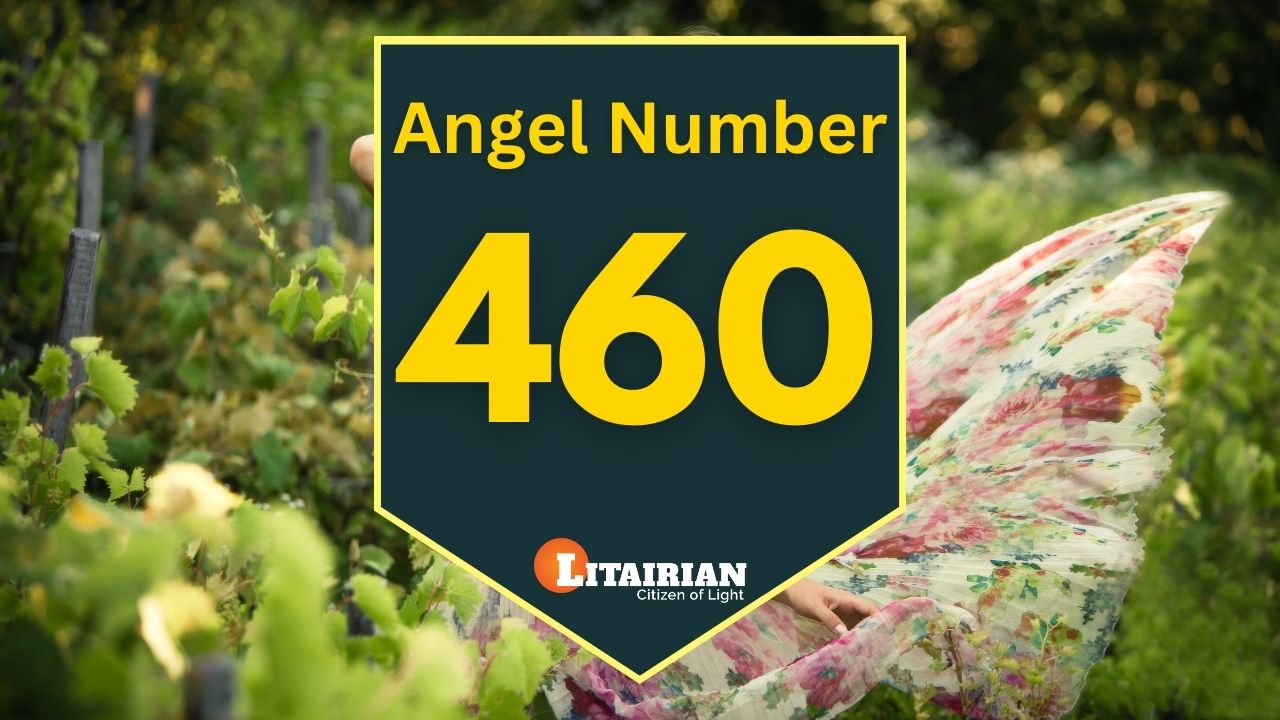 Seeing 460 Angel Number? This Is What It Means!