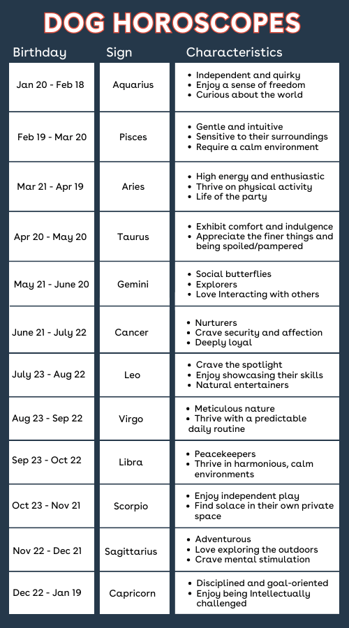 Your Dogs Daily Horoscope! Uncover Your Perras Horoscope Now!