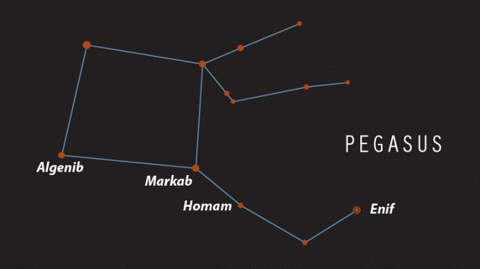 Horse Constellations for Kids: Fun Facts and Easy Ways to Spot Them
