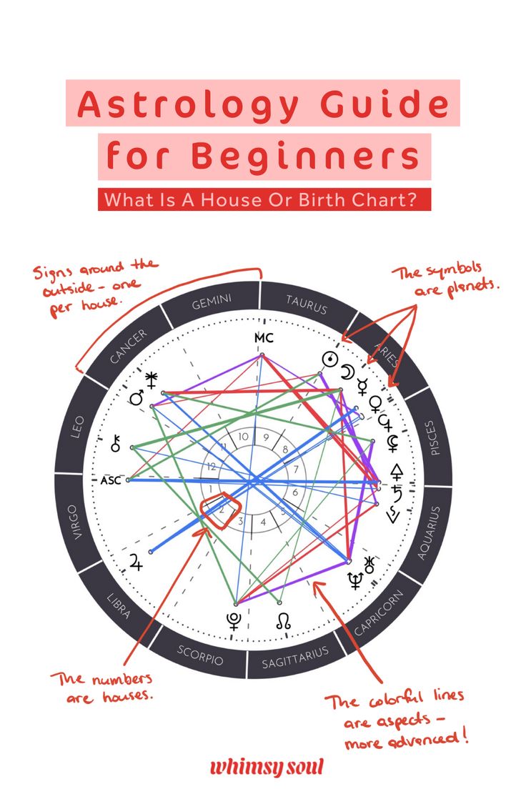 Beginners Guide: How to Read D5 Chart in Astrology