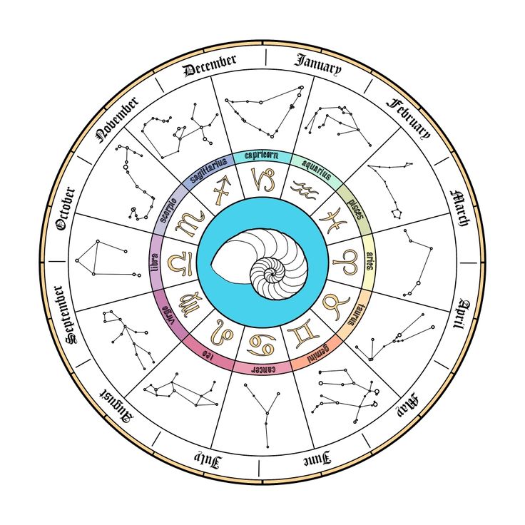 The 13 Month Calendar Zodiac Signs: A Guide for Beginners.
