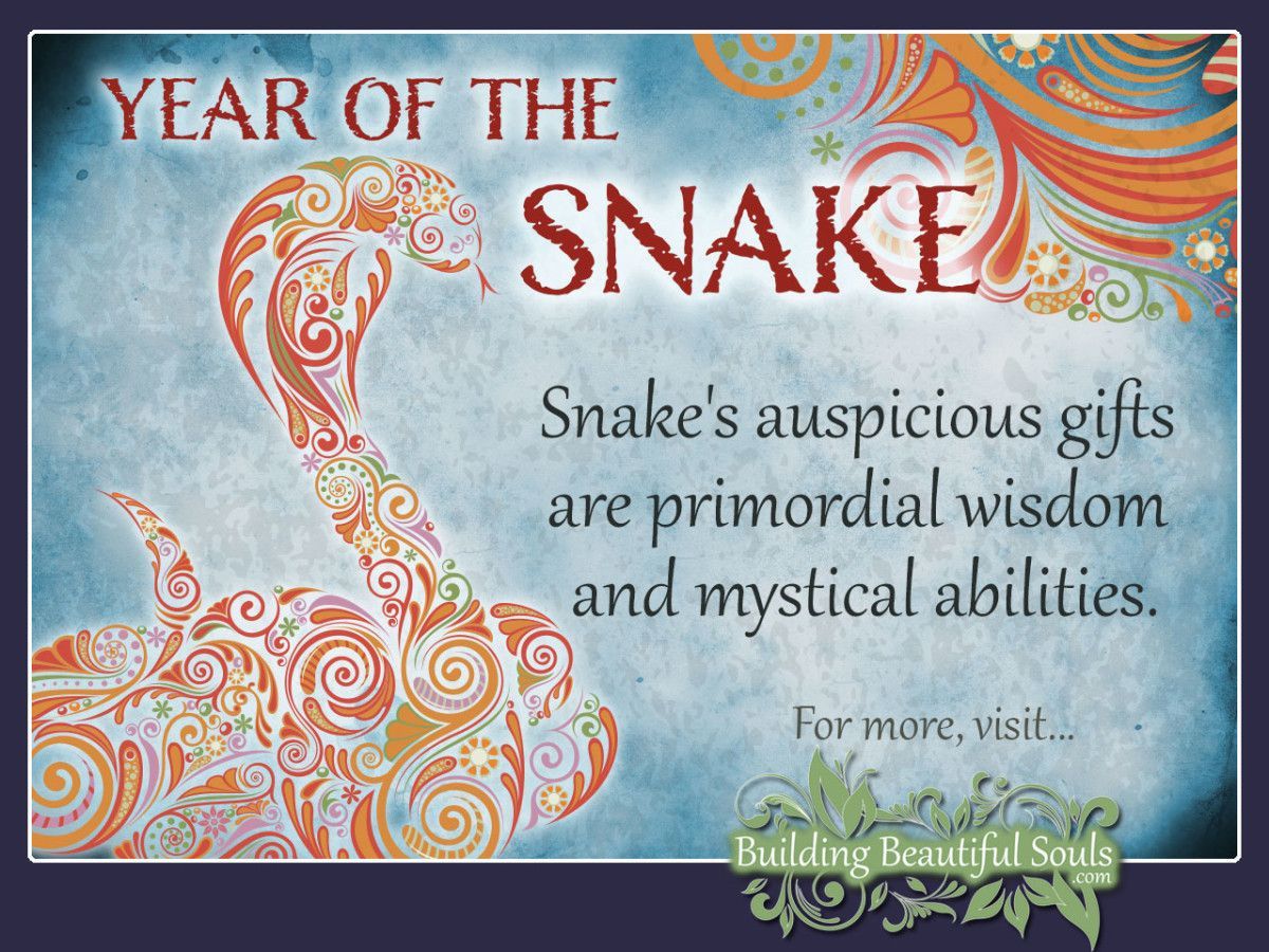1821 Chinese Zodiac: Personality Traits of the Metal Snake