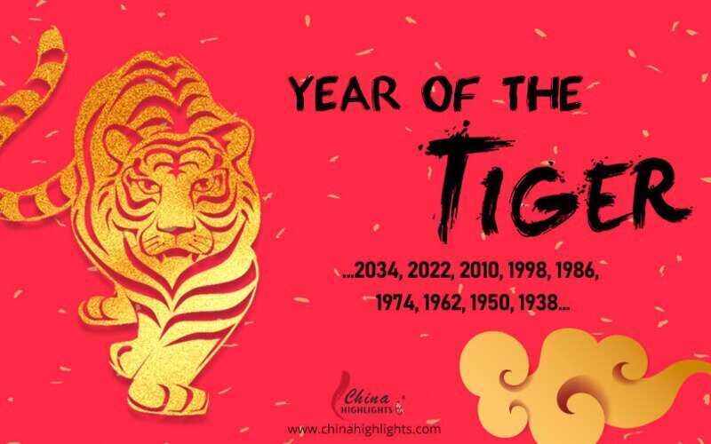 Gold Tiger Chinese Zodiac: What Does It Mean for You?