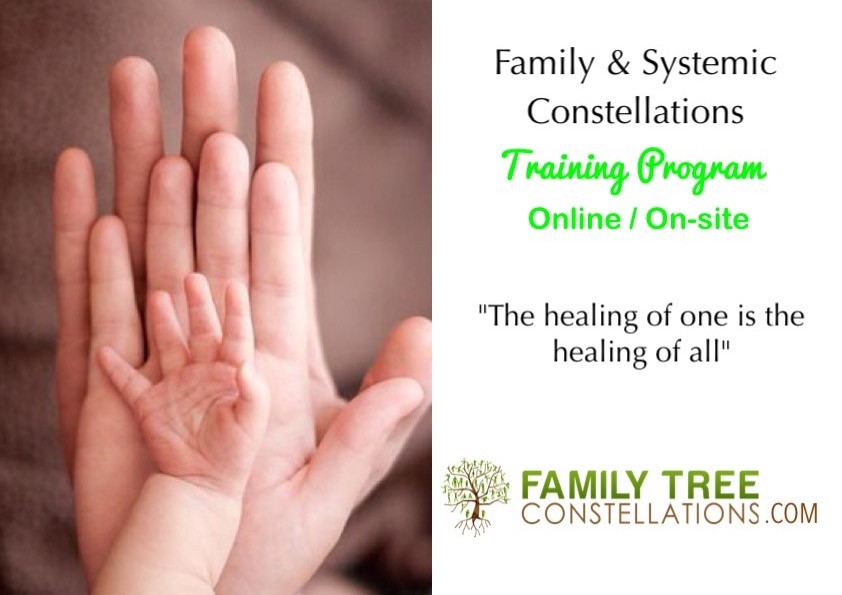 curso constelaciones familiares: Learn Family Constellations Online in Easy Steps