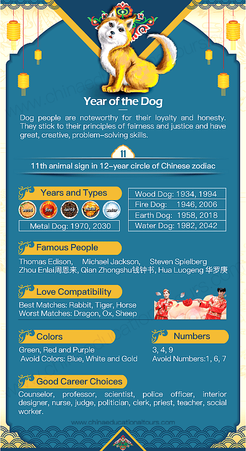 Female Water Dog Chinese Zodiac: What Makes Her Special?