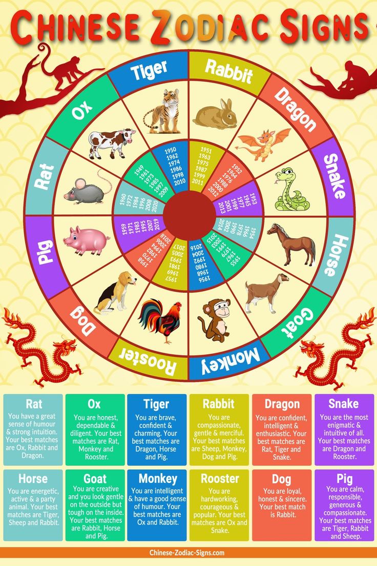 Explore the 1818 Chinese Zodiac: History, Signs and Meanings