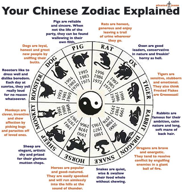 Chinese Horoscope Reading (What Does It Really Mean)