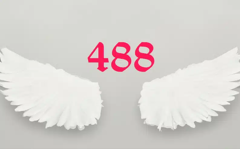 What Does 488 Angel Number Mean? Your Questions Answered