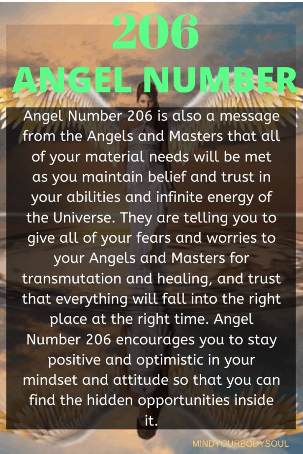 What Does Angel Number 206 Mean What Is the Real Significance in Love and Twin Flame in Your Life