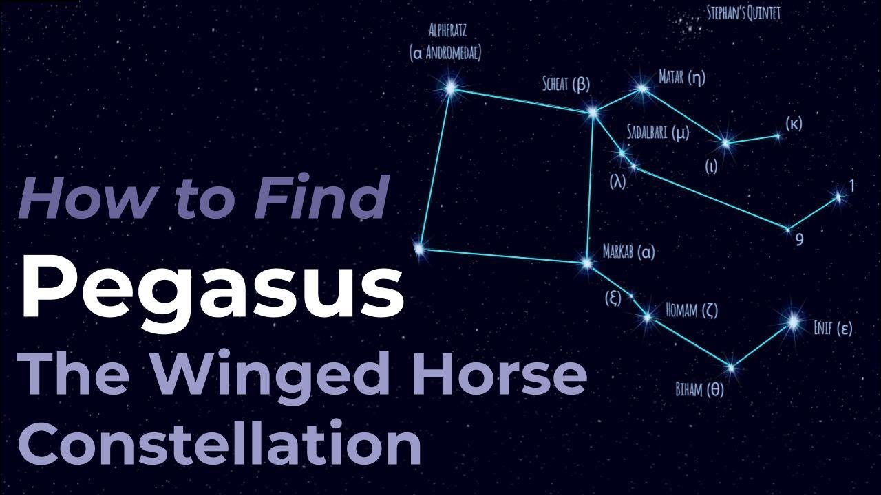 Finding Horse Constellations: Tips and Tricks, How to Identify Them in the Universe