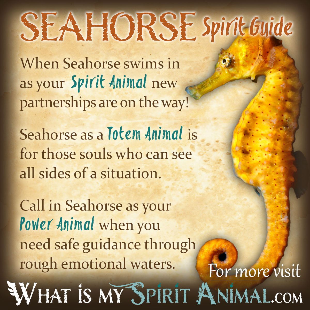 Chinese Zodiac Seahorse: What Does It Mean for You?