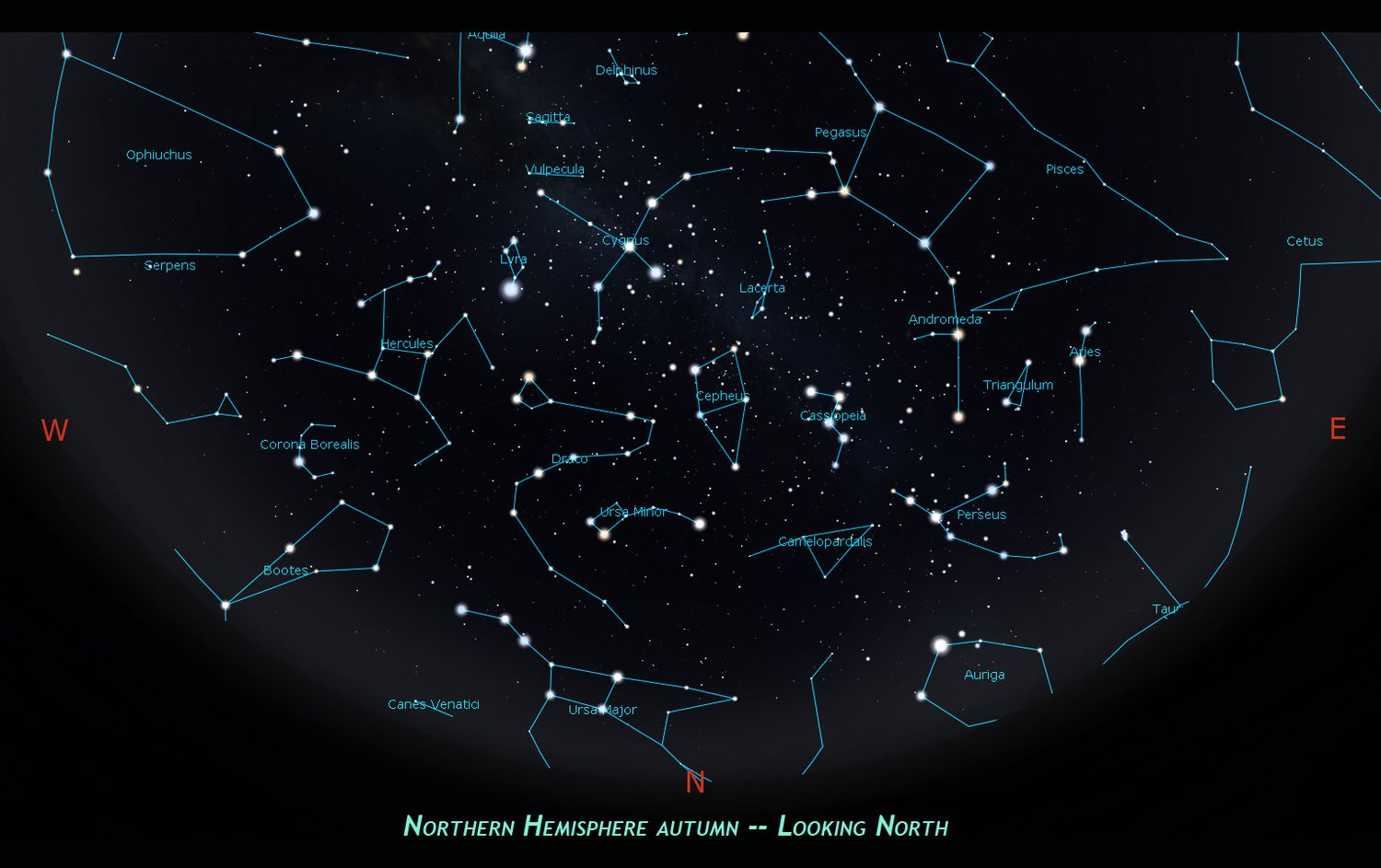 Finding Horse Constellations: Tips and Tricks, How to Identify Them in the Universe