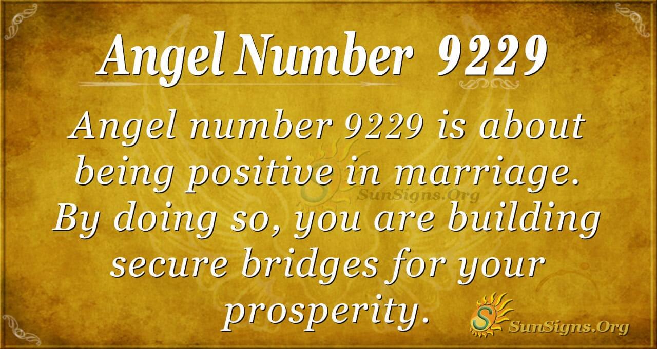Whats the Deal with 9229 Angel Number? Simple Guide to Its Meaning