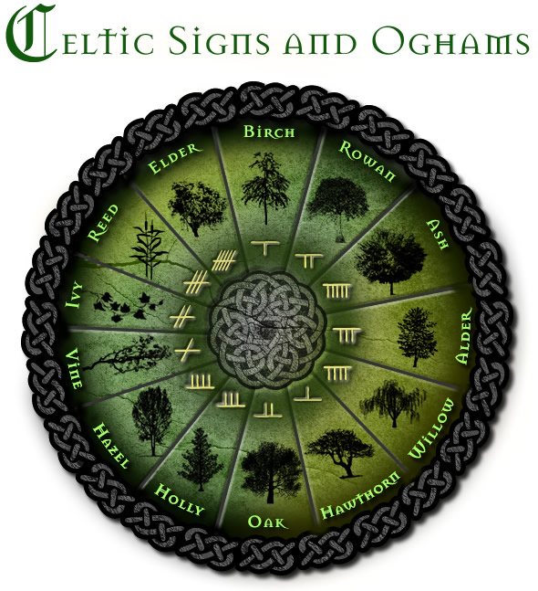 How Does the Celtic Zodiac Calendar Work? Simple Tips to Understand It!