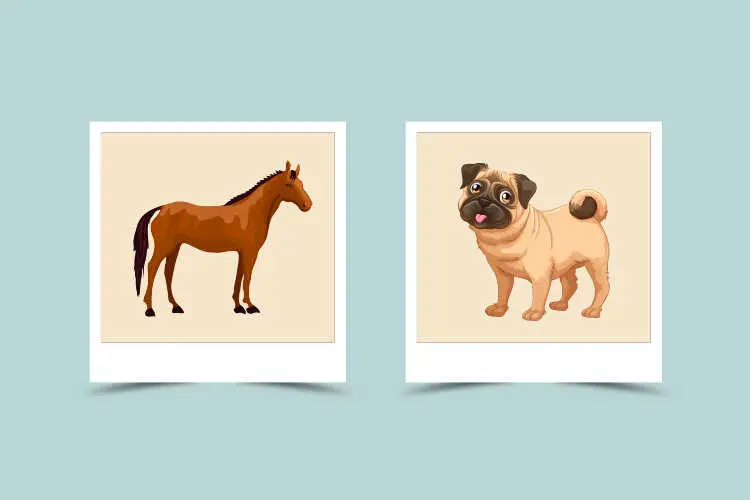 The Truth About Horse and Dog Chinese Zodiac: Understanding Their Dynamic