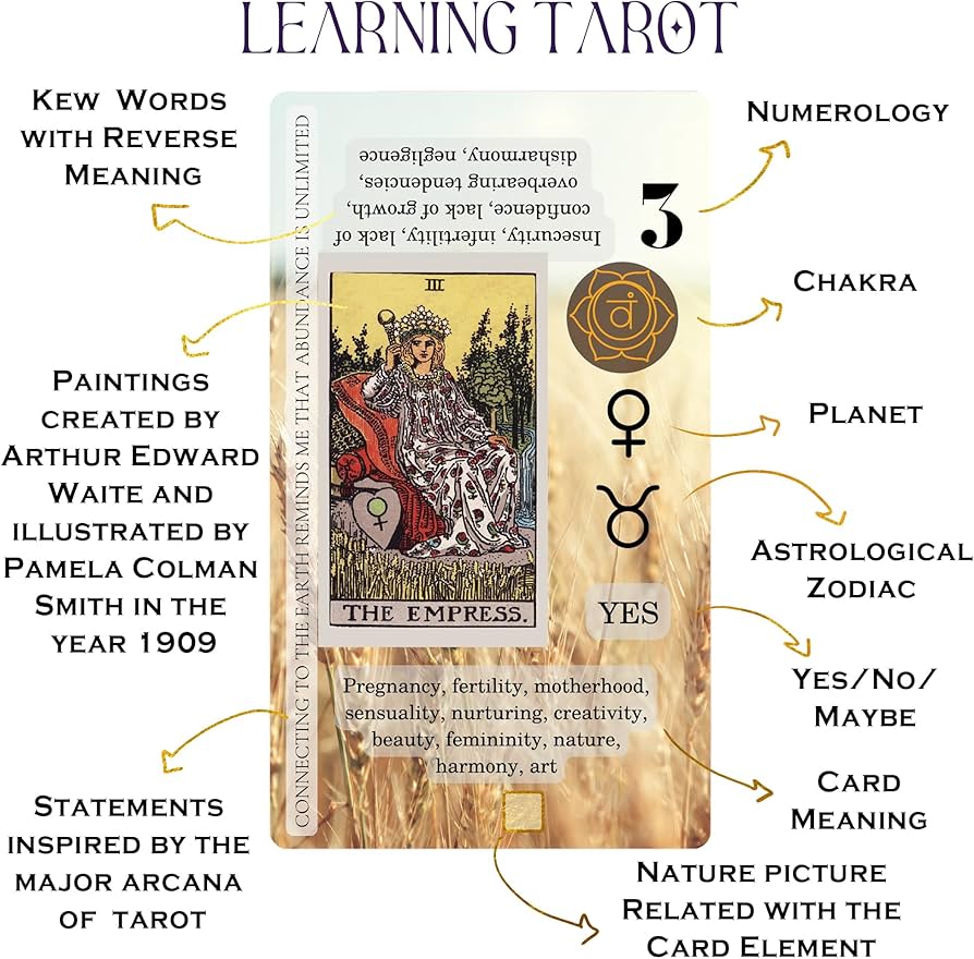 Witches Tarot Card Meanings Explained (Simple Guide for Beginners to Start)